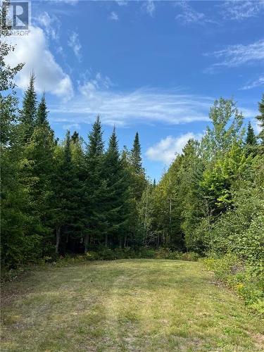 81.5 Acres Ch Collette East, Collette, NB 