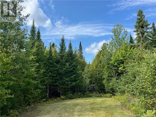 81.5 Acres Ch Collette East, Collette, NB 