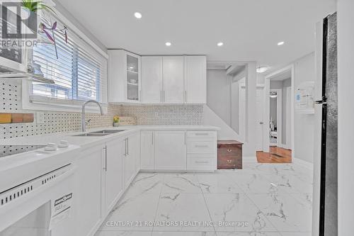 26 Royce Avenue, Brampton (Downtown Brampton), ON - Indoor Photo Showing Kitchen With Double Sink