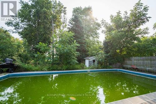 48 North Trent Street, Quinte West, ON - Outdoor With In Ground Pool With Backyard