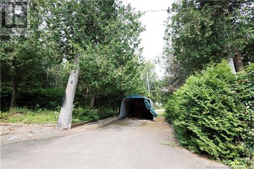 53 Thomas Road, Dsl De Drummond/Dsl Of Drummond, NB - Outdoor