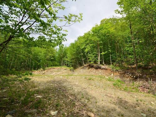 Terre/Terrain - Ch. De L'Escalade, Eastman, QC 