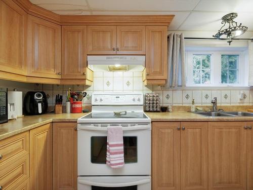 Cuisine - 1211 Rue De Mon-Village, Saint-Lazare, QC - Indoor Photo Showing Kitchen With Double Sink