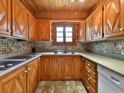 Kitchen - 298 Rue Principale, Saint-Donat, QC - Indoor Photo Showing Kitchen With Double Sink