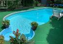 33 Pakenham Drive, Toronto (Rexdale-Kipling), ON  - Outdoor With In Ground Pool With Backyard 