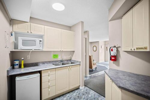 Kitchenette in main recreation space! - 216 Plains Road W|Unit #D307, Burlington, ON - Indoor Photo Showing Kitchen With Double Sink