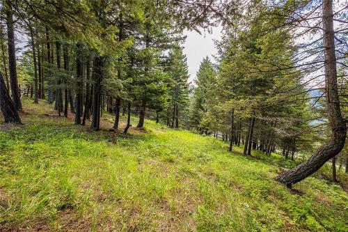 8250 Sun Valley Road, Kelowna, BC - Outdoor With View