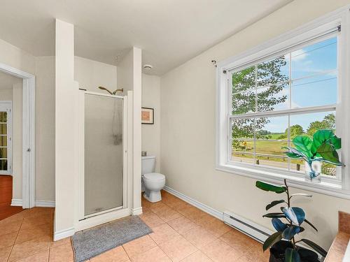 Ensuite bathroom - 155 Rg Du Haut-De-La-Rivière N., Saint-Césaire, QC - Indoor