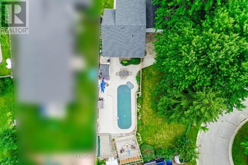 55 Yew Tree Gardens, London, ON - Outdoor With In Ground Pool