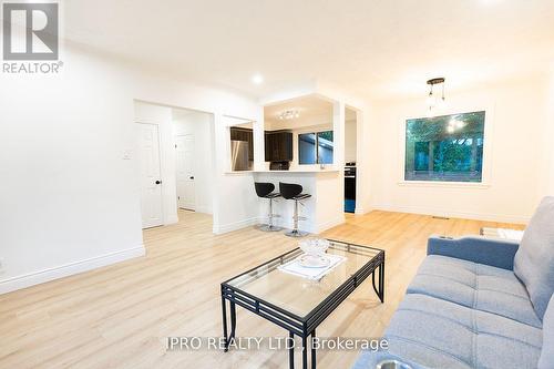 1320 Lewisham Drive, Mississauga, ON - Indoor Photo Showing Living Room