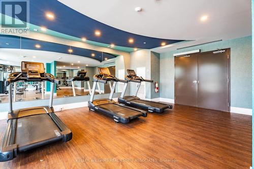 434 - 460 Dundas Street E, Hamilton (Waterdown), ON - Indoor Photo Showing Gym Room