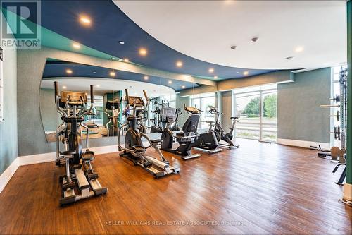 434 - 460 Dundas Street E, Hamilton (Waterdown), ON - Indoor Photo Showing Gym Room