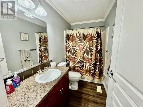 2830 Christopher Lea Estates, Dawson Creek, BC - Indoor Photo Showing Bathroom