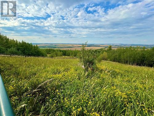 2830 Christopher Lea Estates, Dawson Creek, BC - Outdoor With View