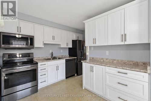 225 Dawn Drive, London, ON - Indoor Photo Showing Kitchen With Double Sink