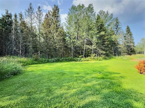 Land/Lot - 7390 Rg Du Parc, Rouyn-Noranda, QC - Outdoor