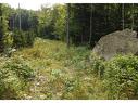 Land/Lot - Rue Des Merisiers, Austin, QC 