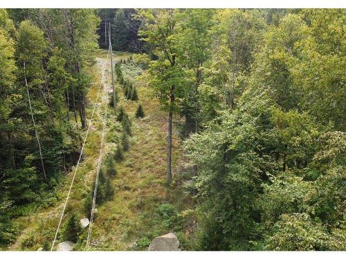 Land/Lot - Rue Des Merisiers, Austin, QC 