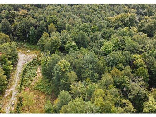 Land/Lot - Rue Des Merisiers, Austin, QC 