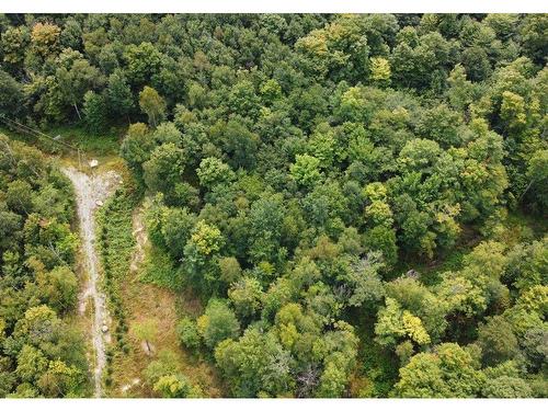 Land/Lot - Rue Des Merisiers, Austin, QC 