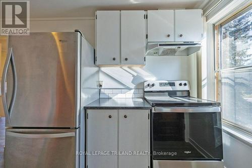 241 Ridout Street S, London, ON - Indoor Photo Showing Kitchen