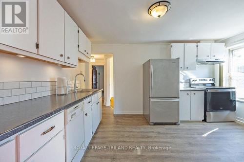 241 Ridout Street S, London, ON - Indoor Photo Showing Kitchen With Double Sink