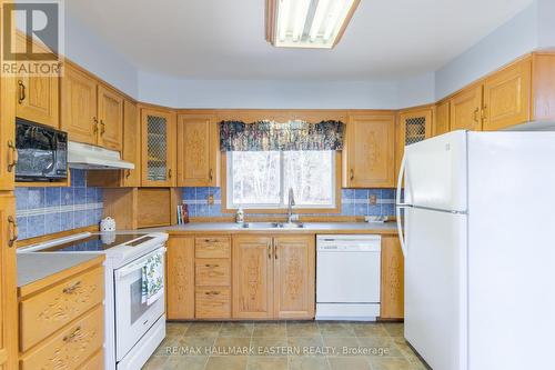 152A Paradise Landing Road, Hastings Highlands, ON - Indoor Photo Showing Kitchen With Double Sink