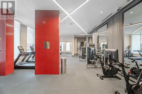 604 - 212 King William Street, Hamilton (Beasley), ON - Indoor Photo Showing Gym Room