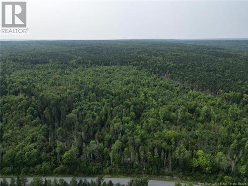 Woodlot Nashwaak West Road, Nashwaak Bridge, NB 