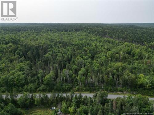 Woodlot Nashwaak West Road, Nashwaak Bridge, NB 