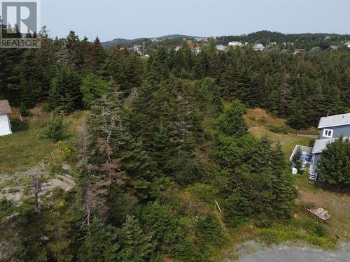 19 Lee'S Place, Portugal Cove-St. Philip'S, NL 