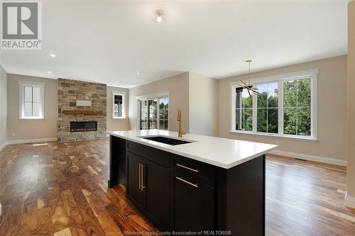 2576 Mayfair, Lasalle, ON - Indoor With Fireplace