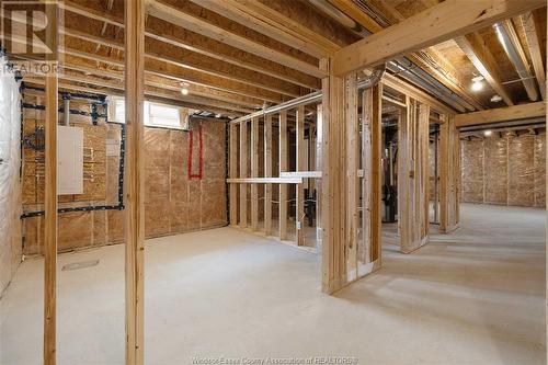 2576 Mayfair, Lasalle, ON - Indoor Photo Showing Basement