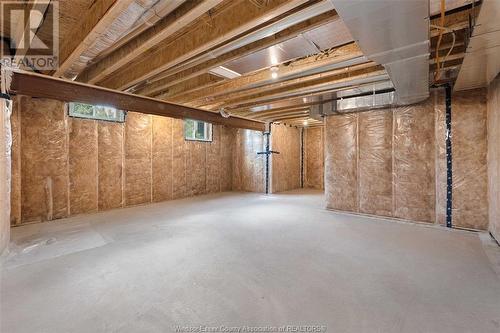 2576 Mayfair, Lasalle, ON - Indoor Photo Showing Basement