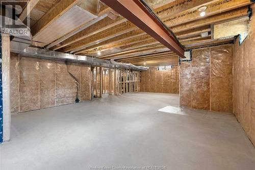 2576 Mayfair, Lasalle, ON - Indoor Photo Showing Basement