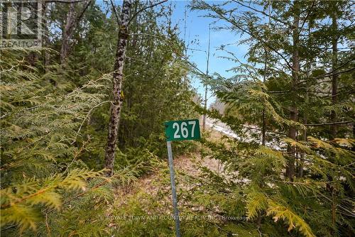 267 Hilton'S Point Road, Kawartha Lakes (Norland), ON 