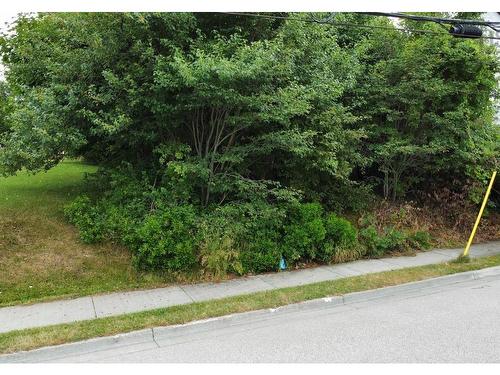 Lot 1 Borden Street, Sydney, NS 