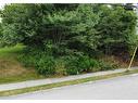 Lot 1 Borden Street, Sydney, NS 