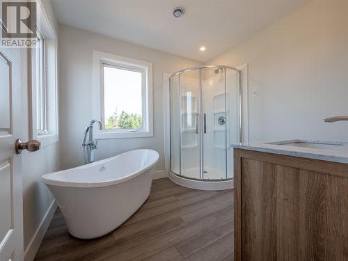 37 Harbour View Drive, Holyrood, NL - Indoor Photo Showing Bathroom