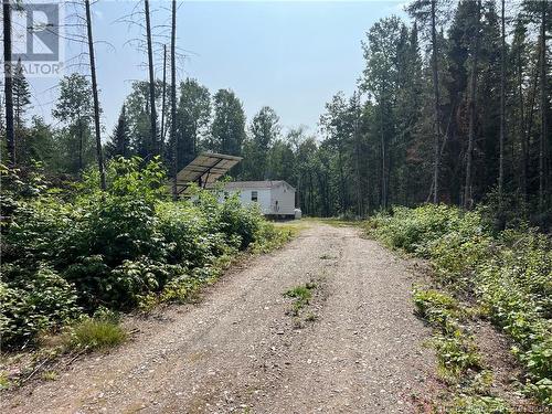 250 Ogilvy Lane, Oxbow, NB - Outdoor