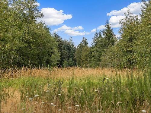 Lot C Waveland Rd, Comox, BC 