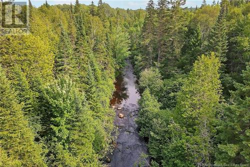 / Nichols Road, Zionville, NB 