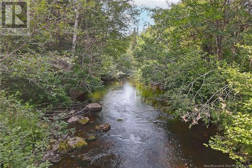 / Nichols Road, Zionville, NB 