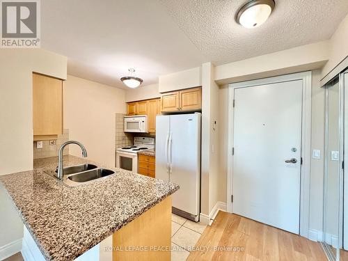 1404 - 15 Greenview Avenue, Toronto (Newtonbrook West), ON - Indoor Photo Showing Kitchen With Double Sink