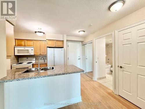 1404 - 15 Greenview Avenue, Toronto (Newtonbrook West), ON - Indoor Photo Showing Kitchen With Double Sink