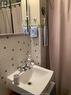 55 Stanley Avenue, Chatham, ON  - Indoor Photo Showing Bathroom 