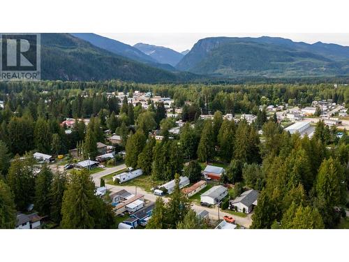 978 Lundell Road, Revelstoke, BC - Outdoor With View