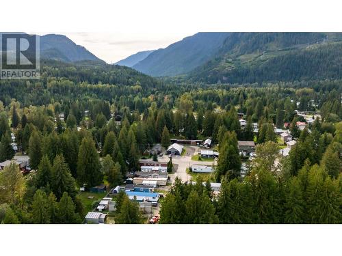 978 Lundell Road, Revelstoke, BC - Outdoor With View