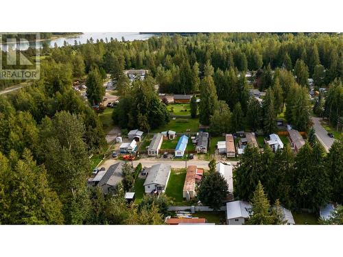 978 Lundell Road, Revelstoke, BC - Outdoor With View