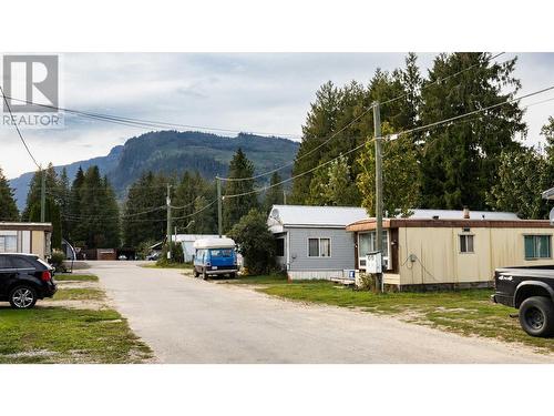 978 Lundell Road, Revelstoke, BC - Outdoor